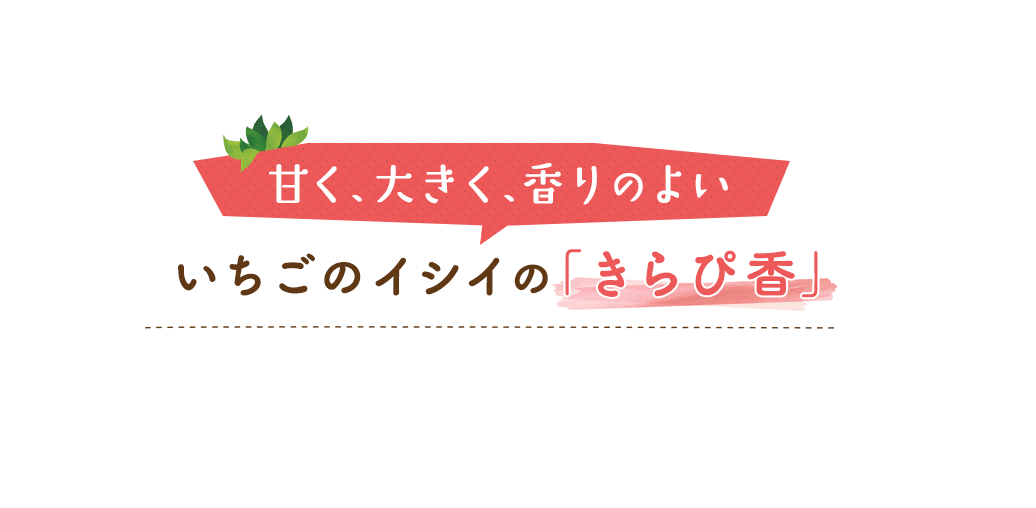 甘く、大きく、香りのよい。いちごのイシイの「きらぴ香」