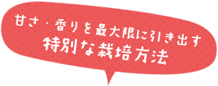 甘さ・香りを最大限に引き出す特別な栽培方法